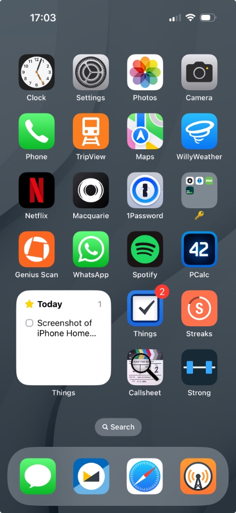 Screenshot of iPhone Home Screen